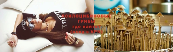 соль ск Пересвет