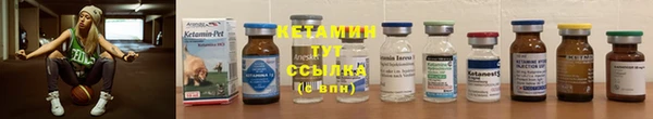 стаф Вязьма