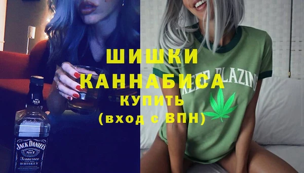 соль ск Пересвет