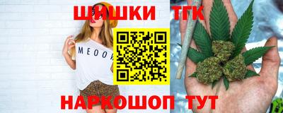 спайс Гагарин