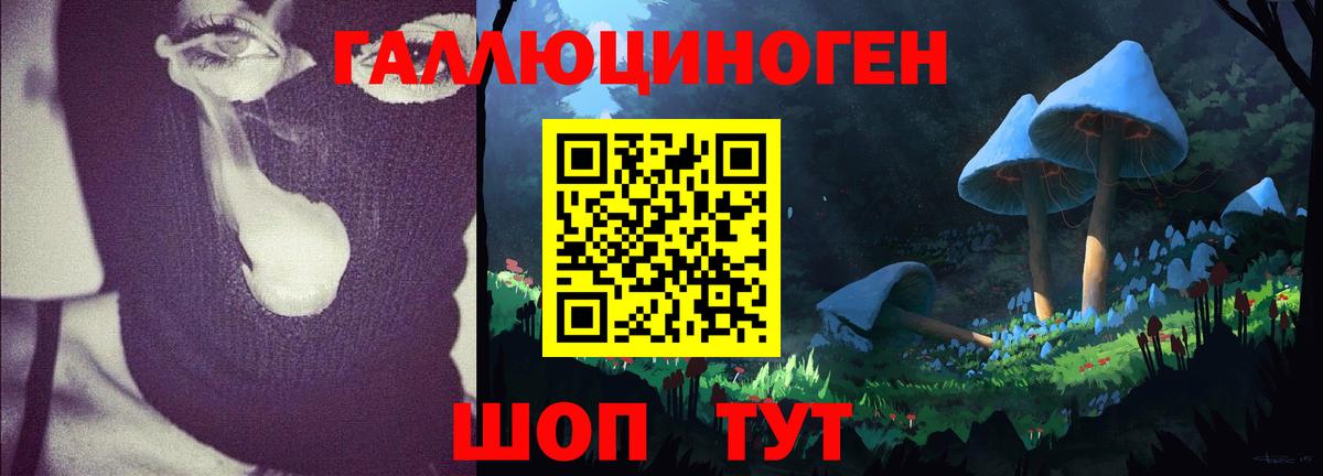 Галлюциногенные грибы Psilocybine cubensis  хочу наркоту  Чита  Галлюциногенные грибы MAGIC MUSHROOMS  Вход с VPN 